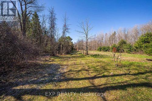 7807 Old Homestead Road, Georgina, ON - Outdoor With View