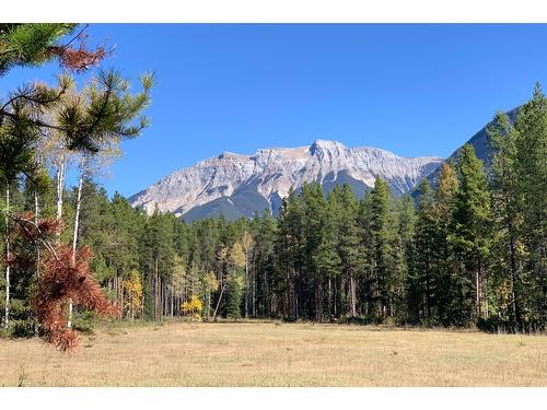 2617 Kettleston Road, Golden, BC - Outdoor With View