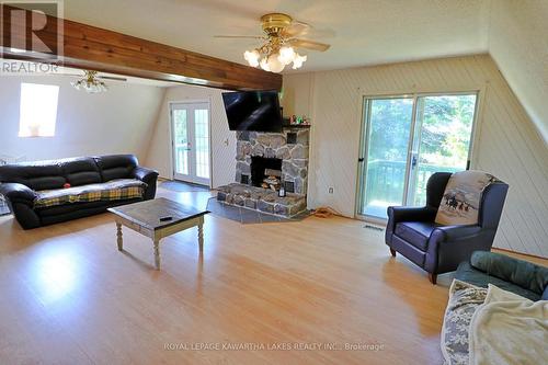 243 Cameron Road, Kawartha Lakes, ON - Indoor Photo Showing Living Room With Fireplace