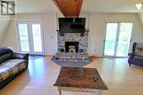 243 Cameron Road, Kawartha Lakes, ON - Indoor Photo Showing Living Room With Fireplace