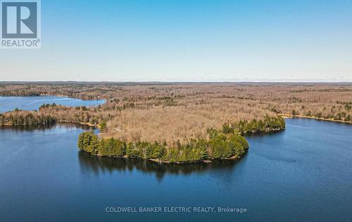 212 Fire Route 87A, Havelock-Belmont-Methuen, ON - Outdoor With Body Of Water With View
