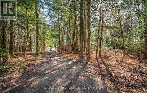 212 Fire Route 87A, Havelock-Belmont-Methuen, ON - Outdoor With View