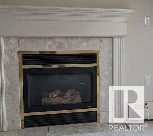 #229 15499 Castle Downs Road Rd Nw Nw, Edmonton, AB - Indoor Photo Showing Living Room With Fireplace