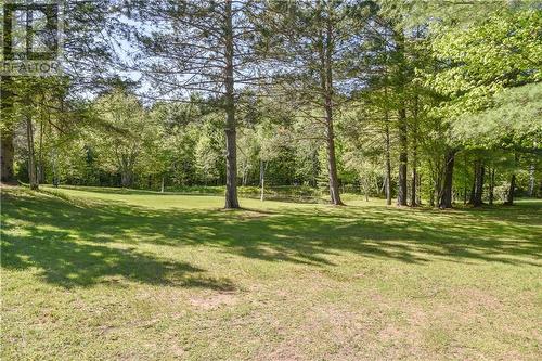 686 Airport Road, Petawawa, ON - Outdoor With View