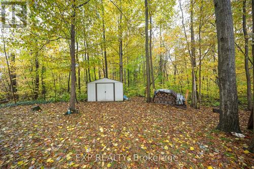 33825 Harmony Road, North Middlesex (Parkhill), ON - Outdoor