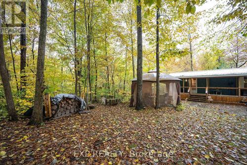 33825 Harmony Road, North Middlesex, ON - Outdoor With Deck Patio Veranda