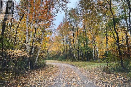 33825 Harmony Road, North Middlesex (Parkhill), ON - Outdoor With View