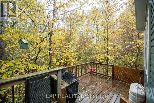 33825 Harmony Road, North Middlesex (Parkhill), ON - Outdoor With Exterior