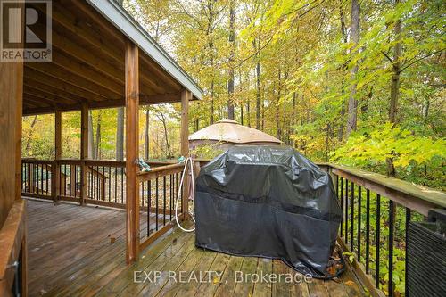 33825 Harmony Road, North Middlesex, ON - Outdoor With Deck Patio Veranda