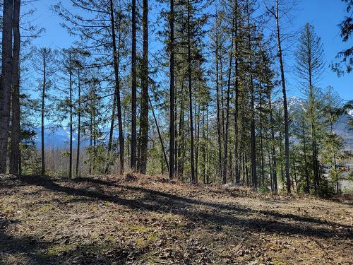 Proposed - Lot 91 Montane Parkway, Fernie, BC 