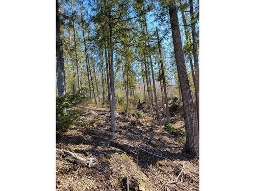 Proposed - Lot 91 Montane Parkway, Fernie, BC 