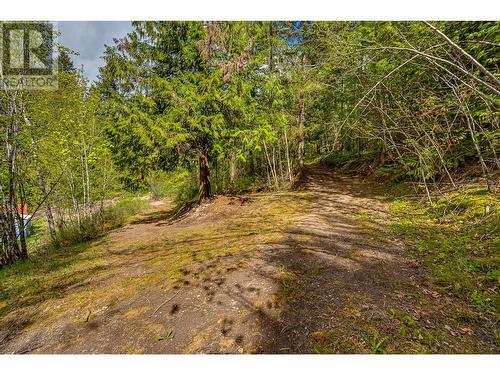 2092 Powerhouse Road, Spallumcheen, BC - Outdoor With View
