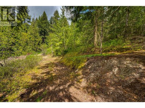 2092 Powerhouse Road, Spallumcheen, BC - Outdoor With View