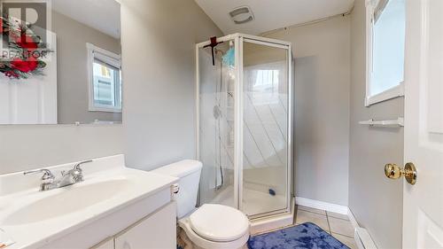 63 Viscount Street, St. John'S, NL - Indoor Photo Showing Bathroom