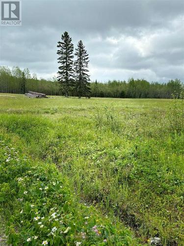 Lot 23 Con 10 Clute, Cochrane Remote Area, ON 