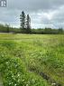 Lot 23 Con 10 Clute, Cochrane Remote Area, ON 