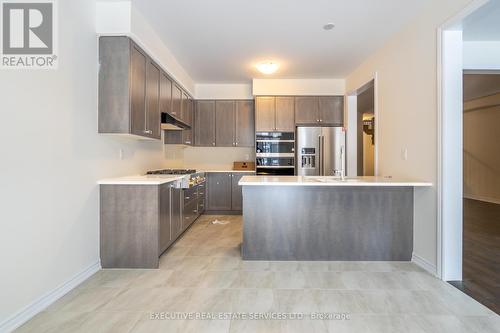 86 Holder Drive, Brantford, ON - Indoor Photo Showing Kitchen With Upgraded Kitchen
