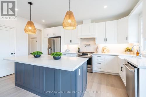 98 Cattail Crescent, Hamilton, ON - Indoor Photo Showing Kitchen With Upgraded Kitchen