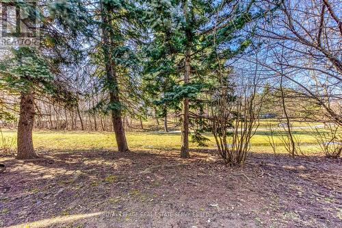 53 - 2701 Aquitaine Avenue, Mississauga, ON - Outdoor With View