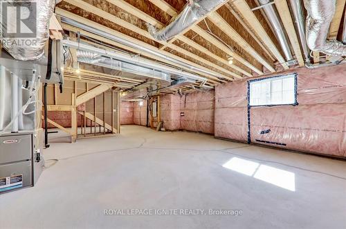 498 Twin Streams Road, Whitby, ON - Indoor Photo Showing Basement