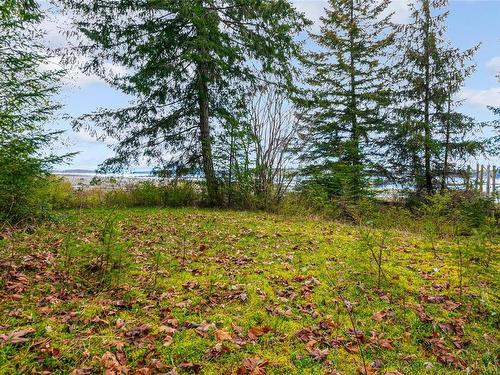 Lot 13 Island Hwy West, Bowser, BC 