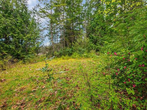 Lot 13 Island Hwy West, Bowser, BC 