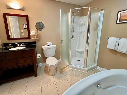 Salle de bains - 206-500 Ch. Des Frênes, Piedmont, QC - Indoor Photo Showing Bathroom
