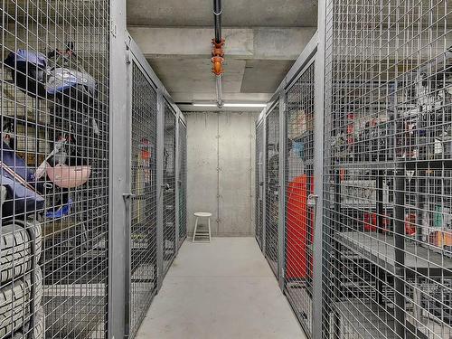 Storage - 301-240 Rue Du Cercle-Des-Cantons, Bromont, QC - Indoor With Storage
