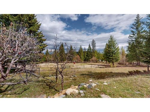 3814 Simms Road, Cranbrook, BC - Outdoor With View
