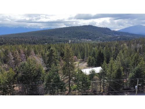 3814 Simms Road, Cranbrook, BC - Outdoor With View