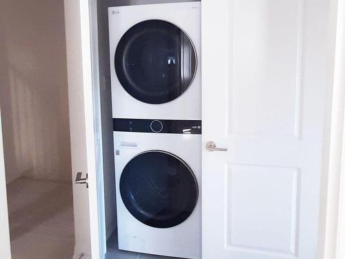 A & B-57 Macklin St, Brant, ON - Indoor Photo Showing Laundry Room