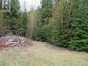 Lot B 3 Highway, Salmo, BC 