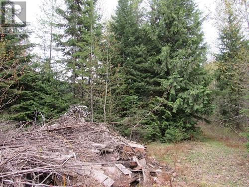 Lot B 3 Highway, Salmo, BC 