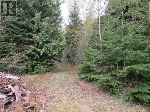 Lot B 3 Highway, Salmo, BC 