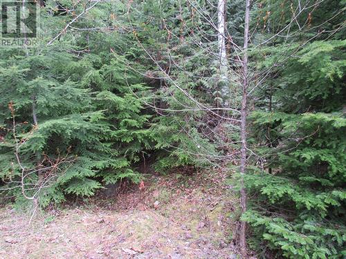 Lot B 3 Highway, Salmo, BC 