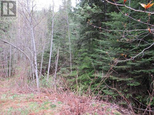 Lot B 3 Highway, Salmo, BC 