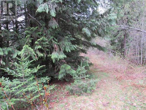 Lot B 3 Highway, Salmo, BC 