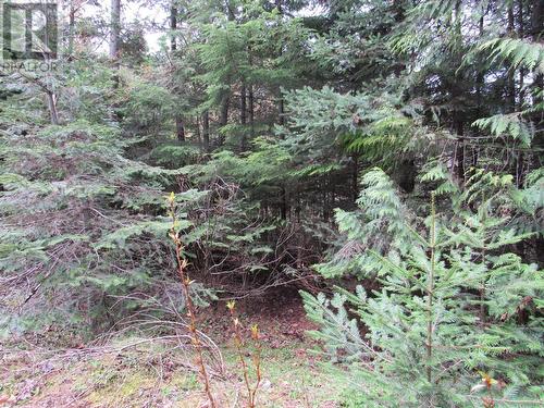 Lot B 3 Highway, Salmo, BC 