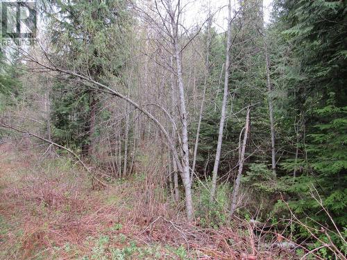 Lot B 3 Highway, Salmo, BC 