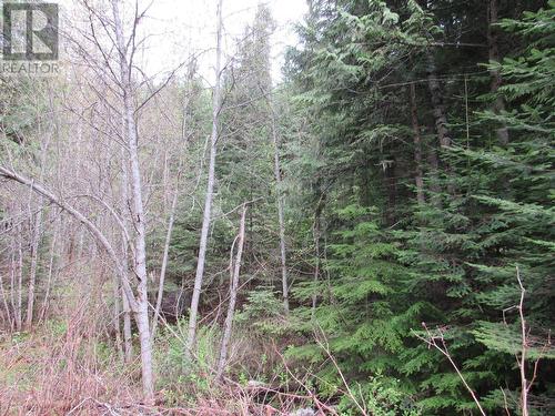 Lot B 3 Highway, Salmo, BC 