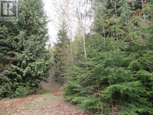 Lot B 3 Highway, Salmo, BC 