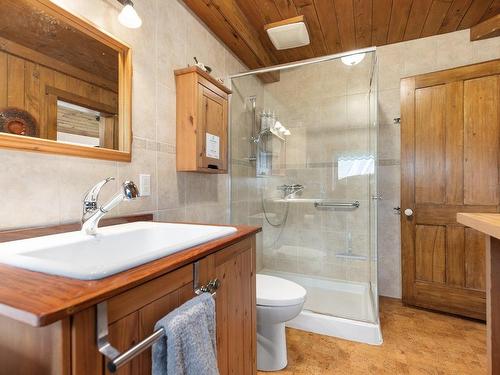 Salle de bains - 101 Ch. Soles, Lac-Brome, QC - Indoor Photo Showing Bathroom