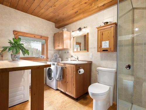 Bathroom - 101 Ch. Soles, Lac-Brome, QC - Indoor Photo Showing Laundry Room