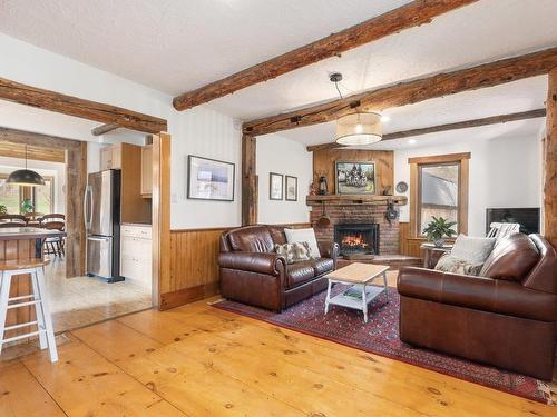 Family room - 101 Ch. Soles, Lac-Brome, QC - Indoor Photo Showing Living Room