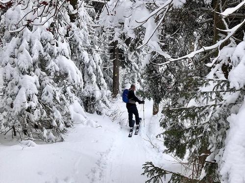 Other - 101 Ch. Soles, Lac-Brome, QC - Outdoor