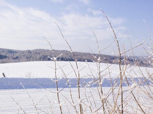 Vue - 101 Ch. Soles, Lac-Brome, QC -  With View