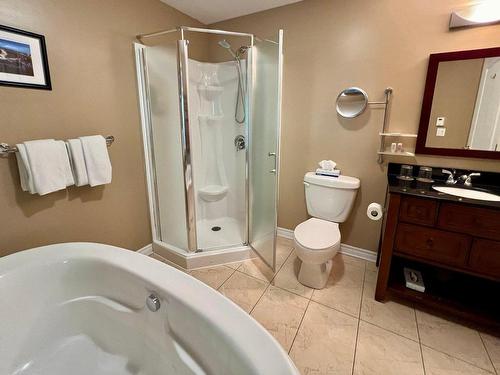 Salle de bains - 204-500 Ch. Des Frênes, Piedmont, QC - Indoor Photo Showing Bathroom