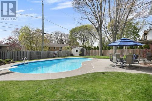 2465 Curry Avenue, Windsor, ON - Outdoor With In Ground Pool With Backyard