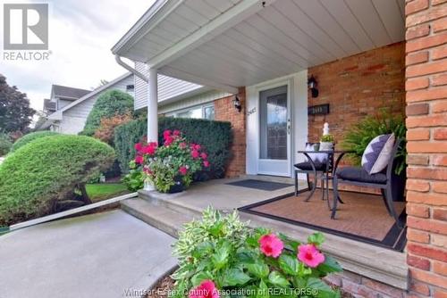 2465 Curry Avenue, Windsor, ON - Outdoor With Exterior