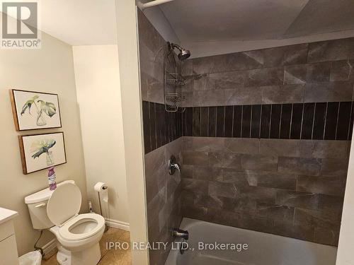 789 Cedar Glen Road, Kawartha Lakes, ON - Indoor Photo Showing Bathroom